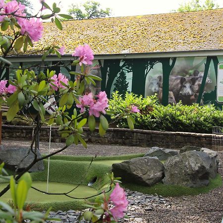 Regiohotel Germania Am Kurpark Бад Харцбург Екстериор снимка