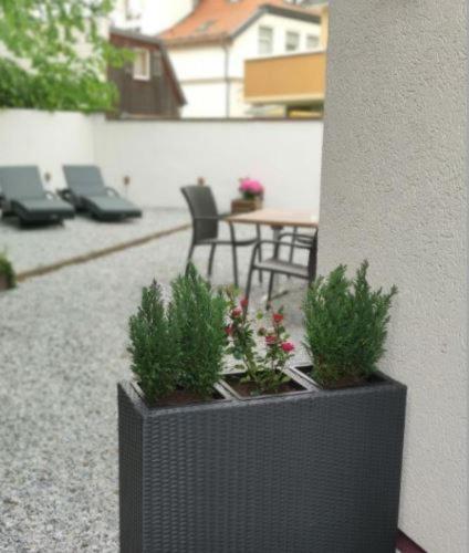 Regiohotel Germania Am Kurpark Бад Харцбург Екстериор снимка